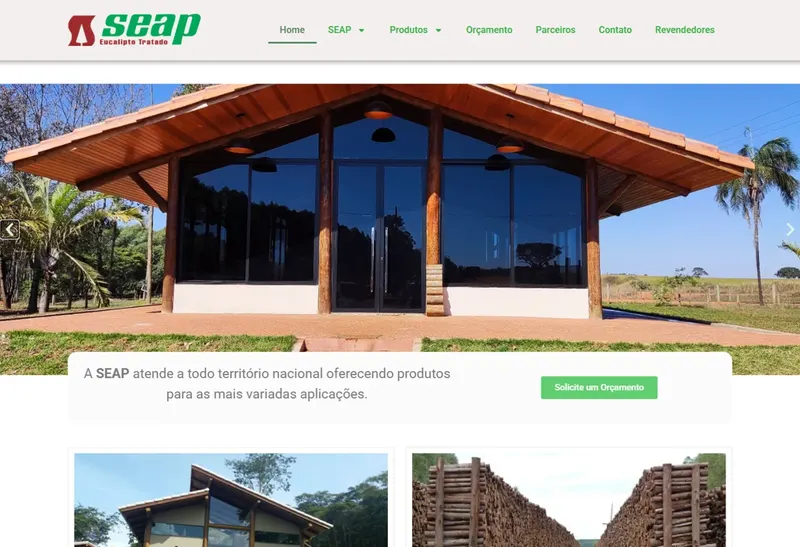 Desenvolvimento de Website - SEAP - Smartweb Tecnologia